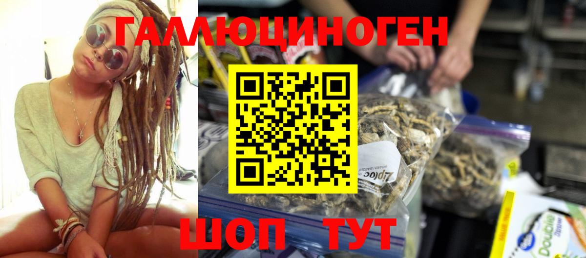 Галлюциногенные грибы Psilocybine cubensis Удомля